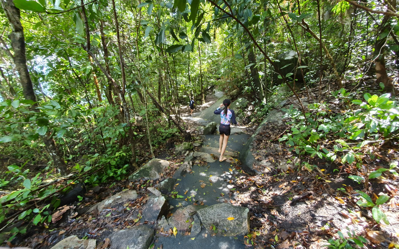 Visitor walking along Secret Garden track in rainforest on Fitzroy Island