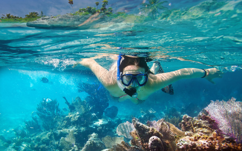 Woman snorkelling over coral reef in clear water at the Great Barrier Reef