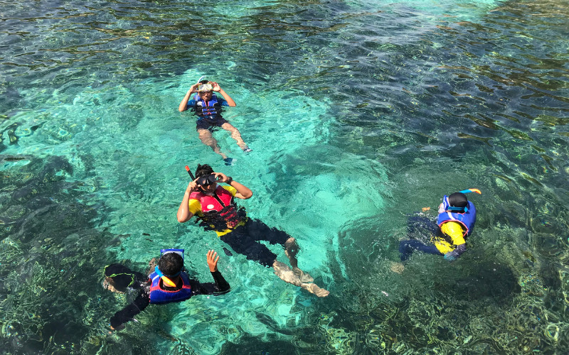 Group of people snorkelling in clear shallow water at the Great Barrier Reef
