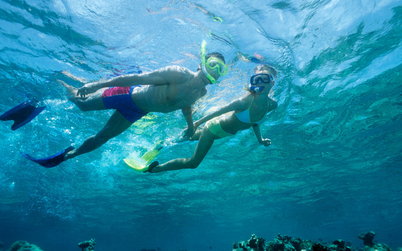 Snorkelers swimming side by side above shallow reef in turquoise ocean