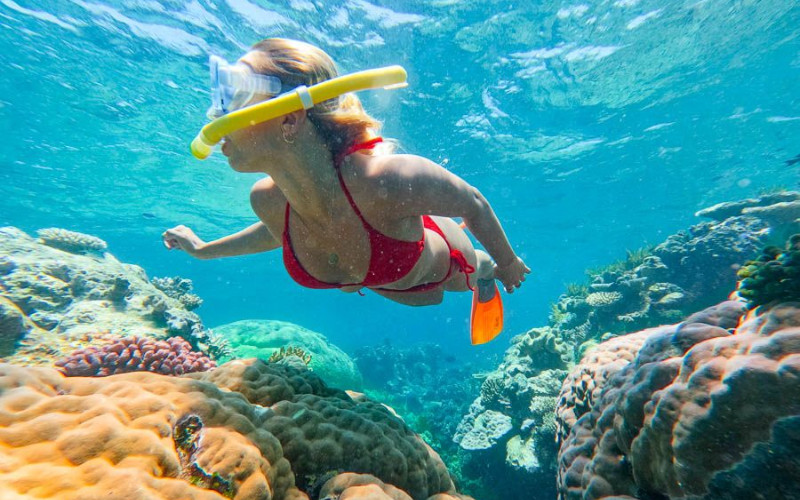 Snorkeler swimming above colorful coral formations in turquoise reef waters