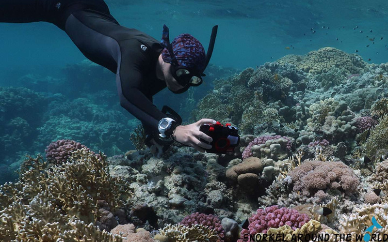Snorkeler using waterproof camera to photograph coral reef at the Great Barrier Reef