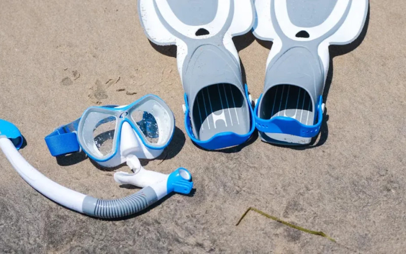 Snorkelling gear including mask, snorkel and fins provided on Great Barrier Reef tours