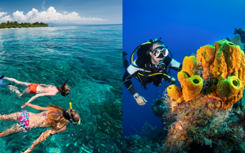 Snorkelling at the surface and scuba diving underwater at the Great Barrier Reef
