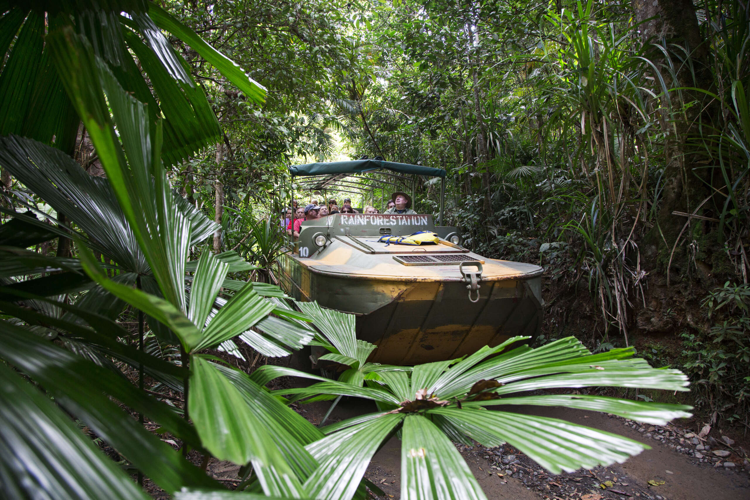 Rainforestation Nature Park Army Duck amphibious vehicle tour through Kuranda tropical rainforest Cairns