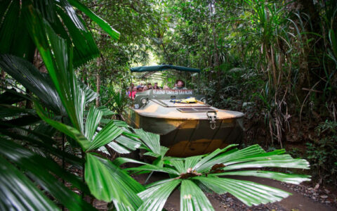 `Rainforestation Nature Park Army Duck tour through dense tropical rainforest Kuranda Queensland`