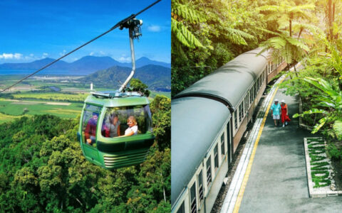`Skyrail Rainforest Cableway gondola and Kuranda Scenic Railway through tropical rainforest near Cairns Australia`