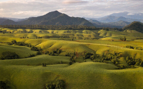 Rolling green hills and mountains of the Atherton Tablelands landscape Far North Queensland Australia