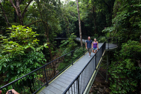 Couple walking boardwalk trail through Mossman Gorge Daintree Rainforest Queensland Australia