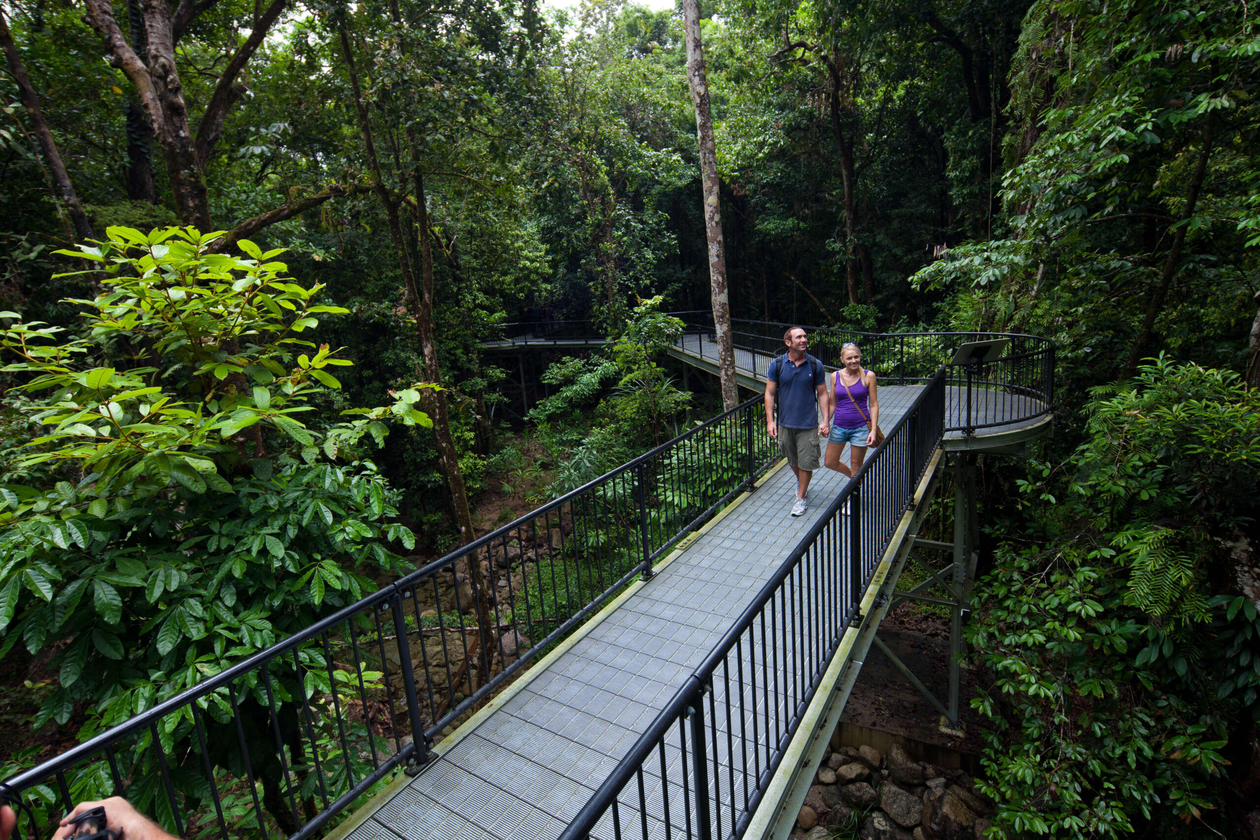 Couple walking boardwalk trail through Mossman Gorge Daintree Rainforest Queensland Australia