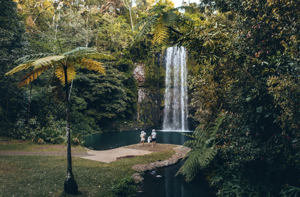 Visitors standing beside Millaa Millaa Falls 18-metre plunge waterfall and swimming hole Atherton Tablelands Queensland
