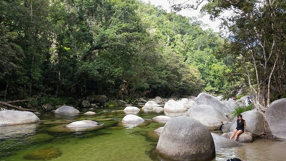 Crystal clear freshwater stream and mossy boulders at Mossman Gorge Daintree Rainforest Queensland