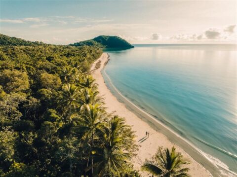 Cape Tribulation Beach aerial view where Daintree Rainforest meets Great Barrier Reef Queensland