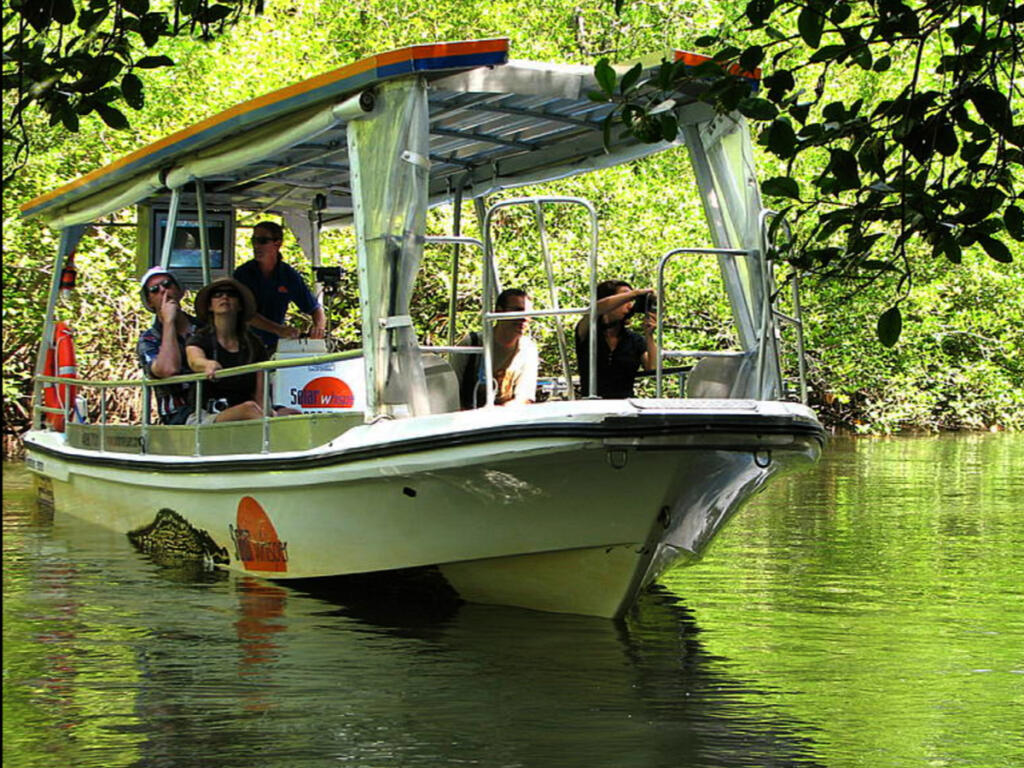 Guided Daintree River cruise boat with tourists through mangrove rainforest Cape Tribulation Queensland