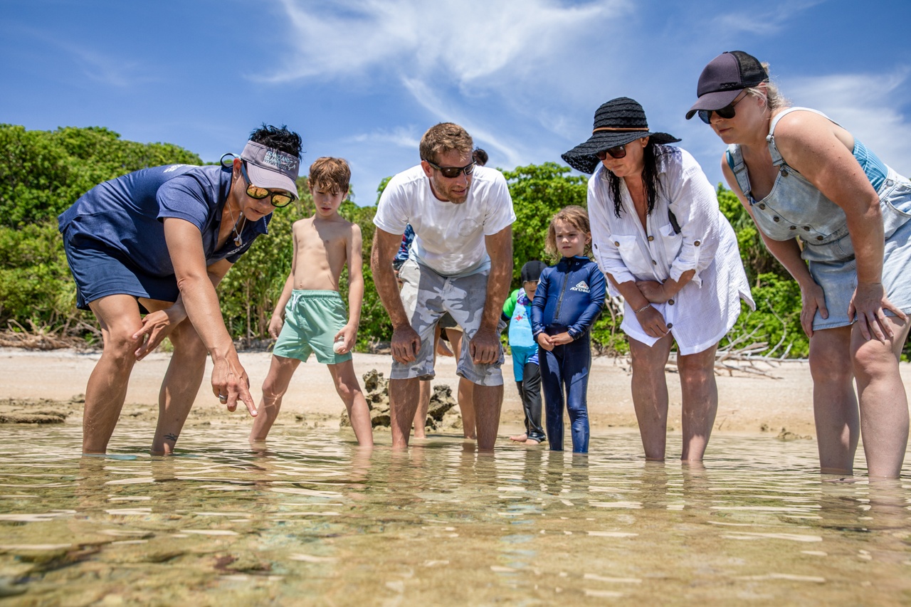 Family exploring shallow reef rock pools with marine biologist guide at Frankland Islands Cairns