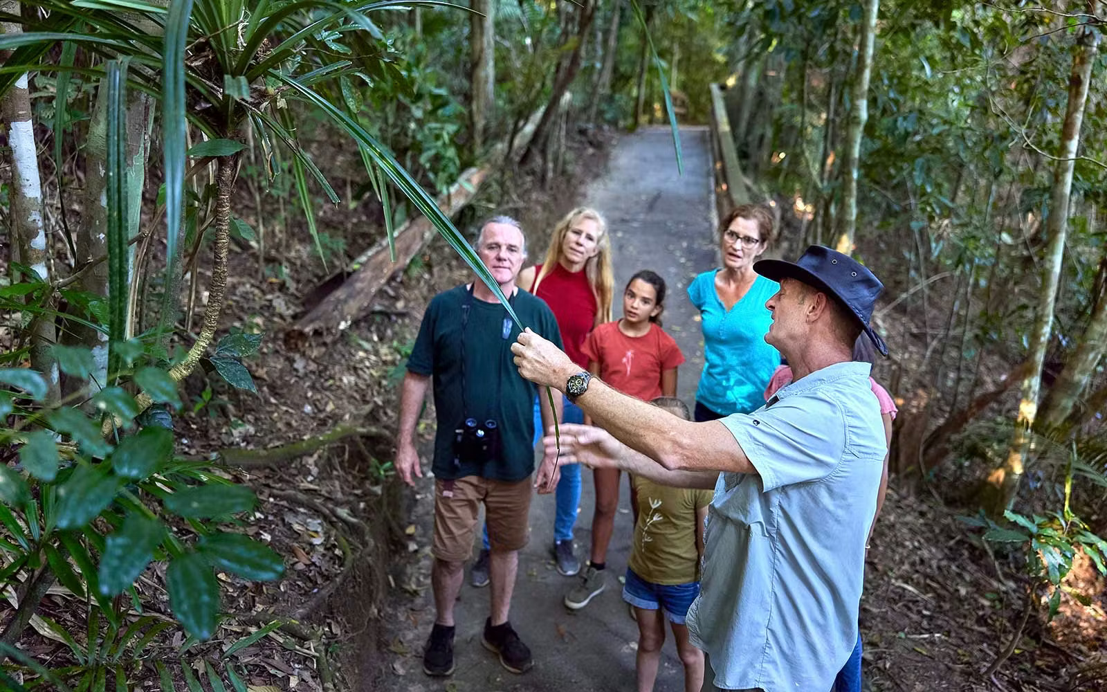Nature guide explaining local wildlife and plants to tourists on Atherton Tablelands rainforest trail Queensland