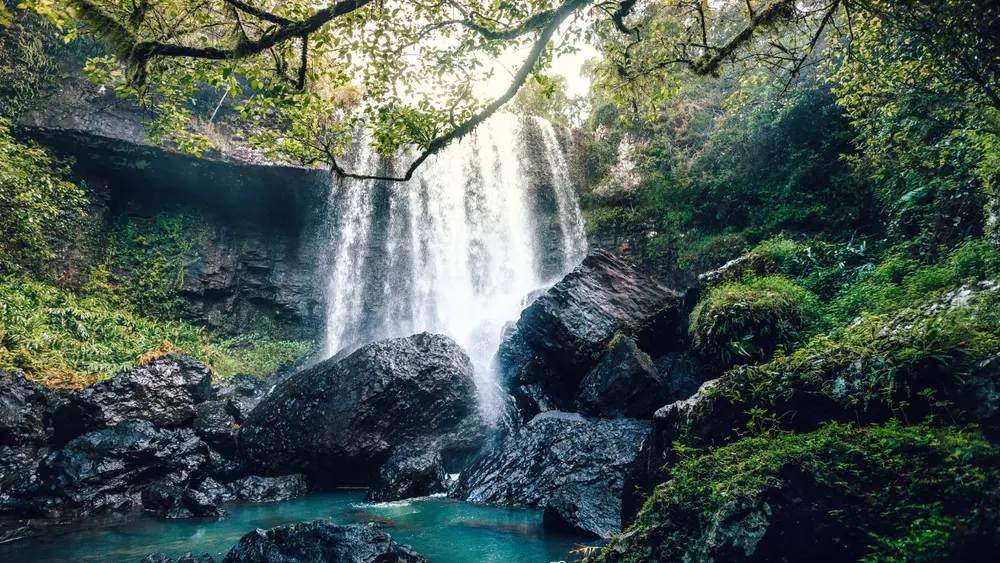 Zillie Falls 30-metre waterfall cascading over mossy rocks in Atherton Tablelands rainforest Queensland