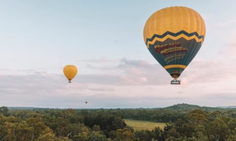 Hot air balloons floating over green farmland at sunrise on the Atherton Tablelands.