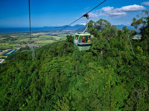 Skyrail cable car gondola over rainforest canopy with coastal farmland and ocean visible in the distance.