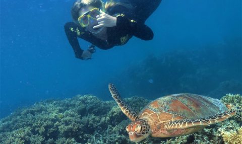 Snorkeler in a wetsuit photographing a sea turtle swimming over a coral reef.