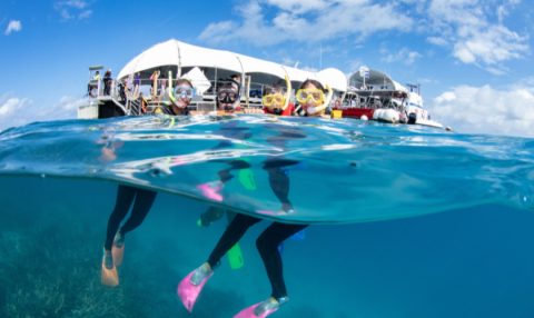 Split-view photo of snorkelers in stinger suits at the ocean surface near a reef pontoon, showing both above and below the waterline.