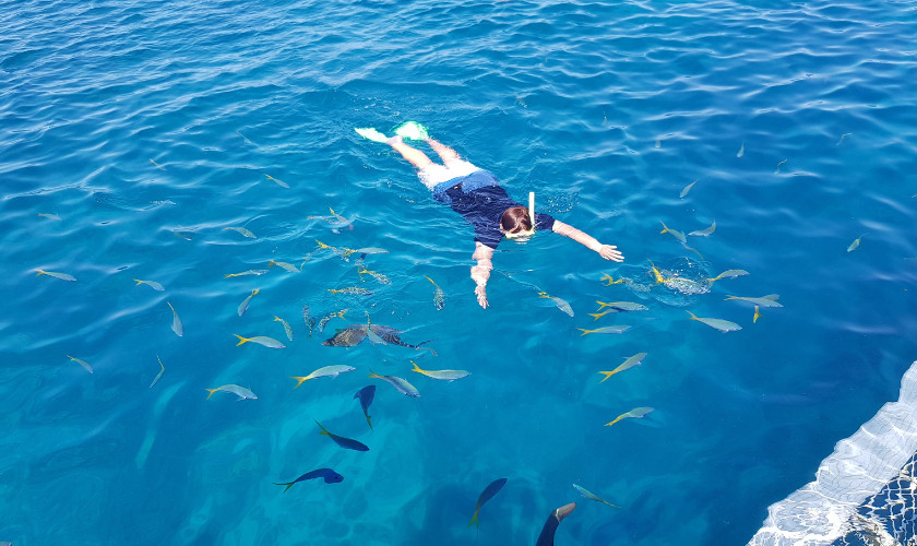 Snorkeler floating at the ocean surface surrounded by yellow tropical fish near a boat.
