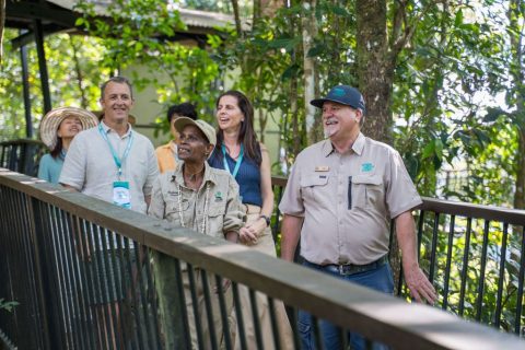 Kuranda Waterfalls Tour