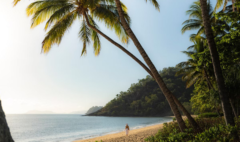 Person walking alone on a quiet beach framed by leaning palm trees, with a forested headland in the distance.
