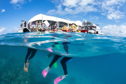Kids snorkelling at the Great Barrier Reef on a family tour from Cairns, with a tour vessel in the background